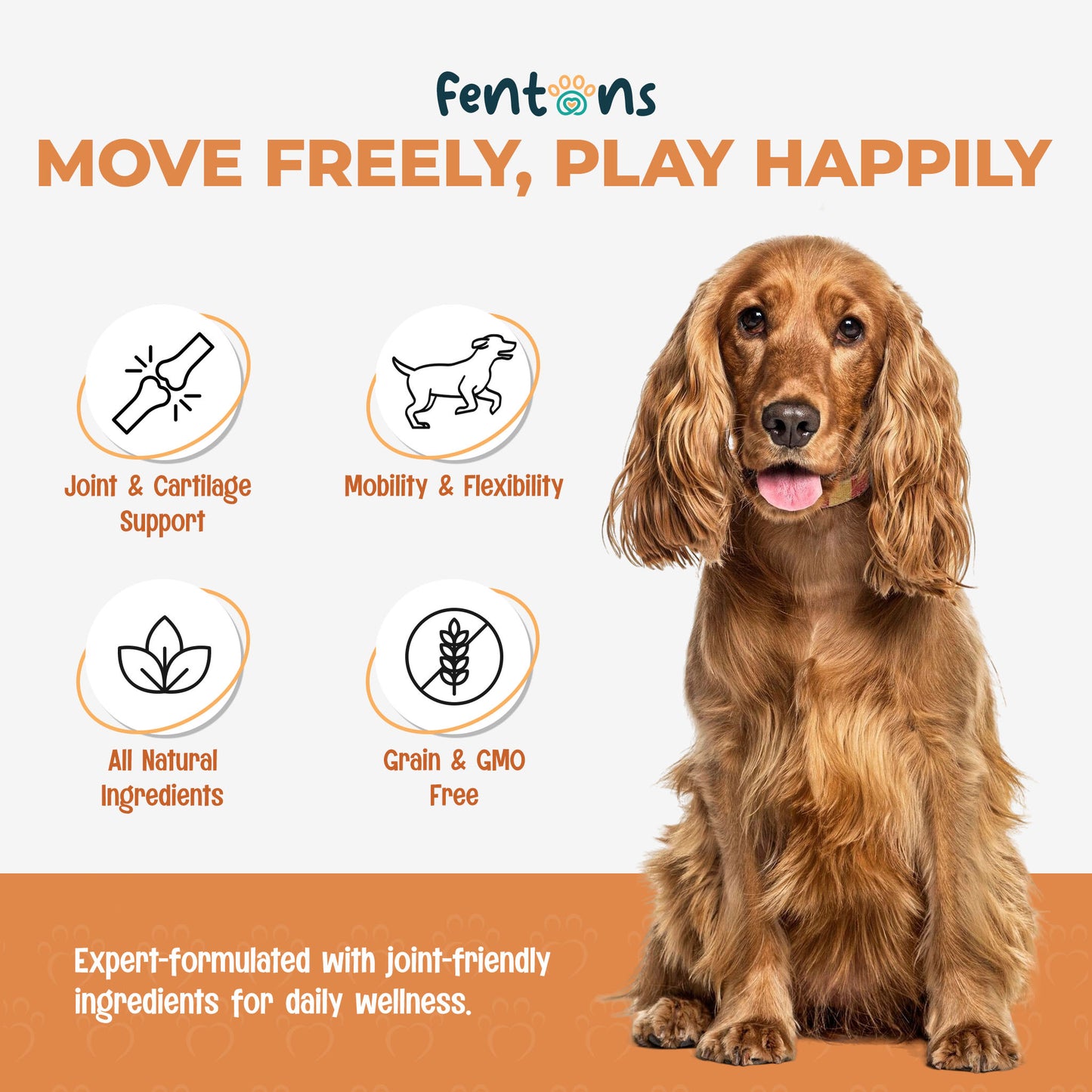 Dog Hip & Joint Treats - Supports Mobility, Immunity & Walks For Life