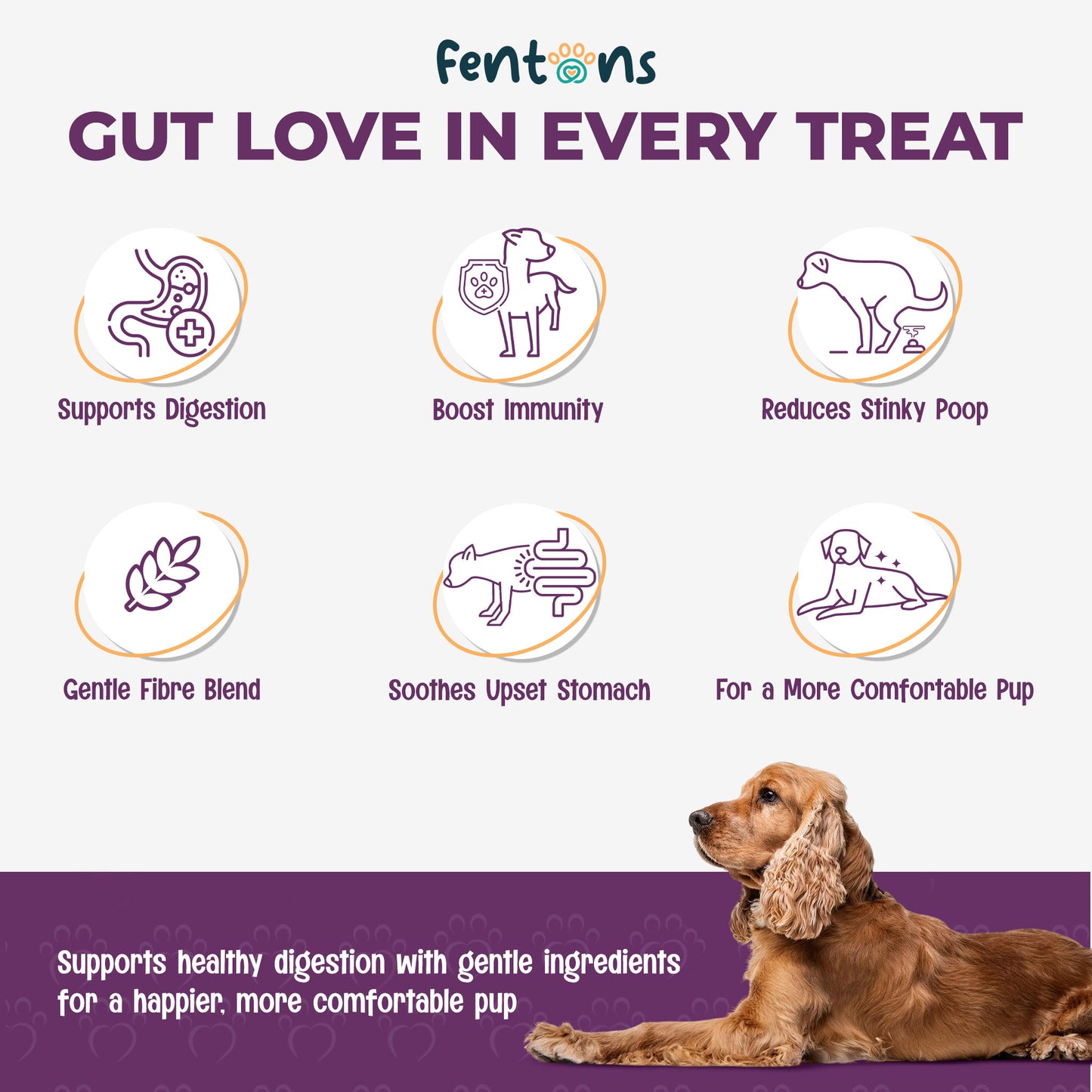 Dog Digestive & Gut Health Treats - Supports Immunity, Healthy Dogs & Stinky-Free Poops