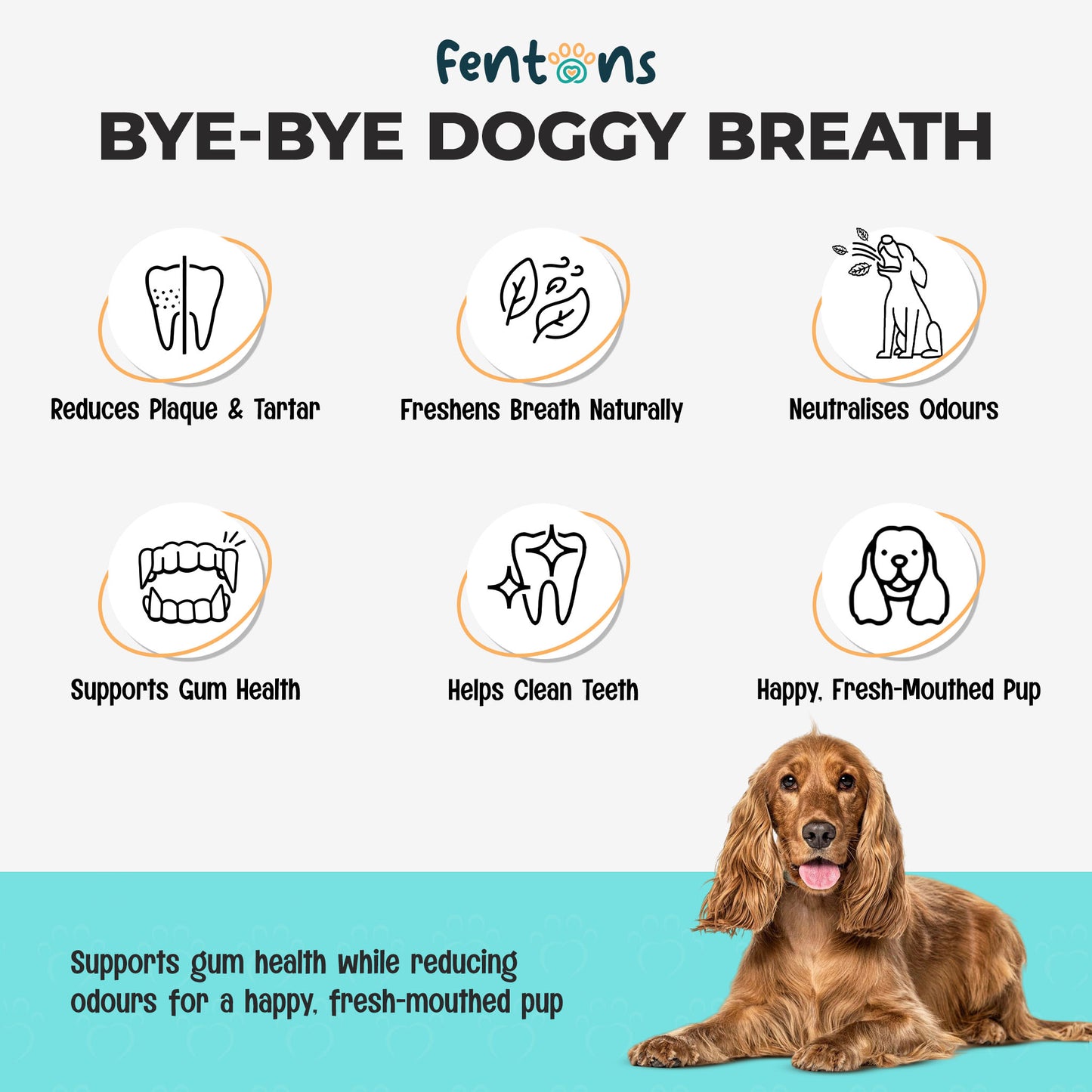 Dog Fresh Breath & Dental Chews - Supports Healthy Teeth, Healthy Gums & Pawsome Dog Licks