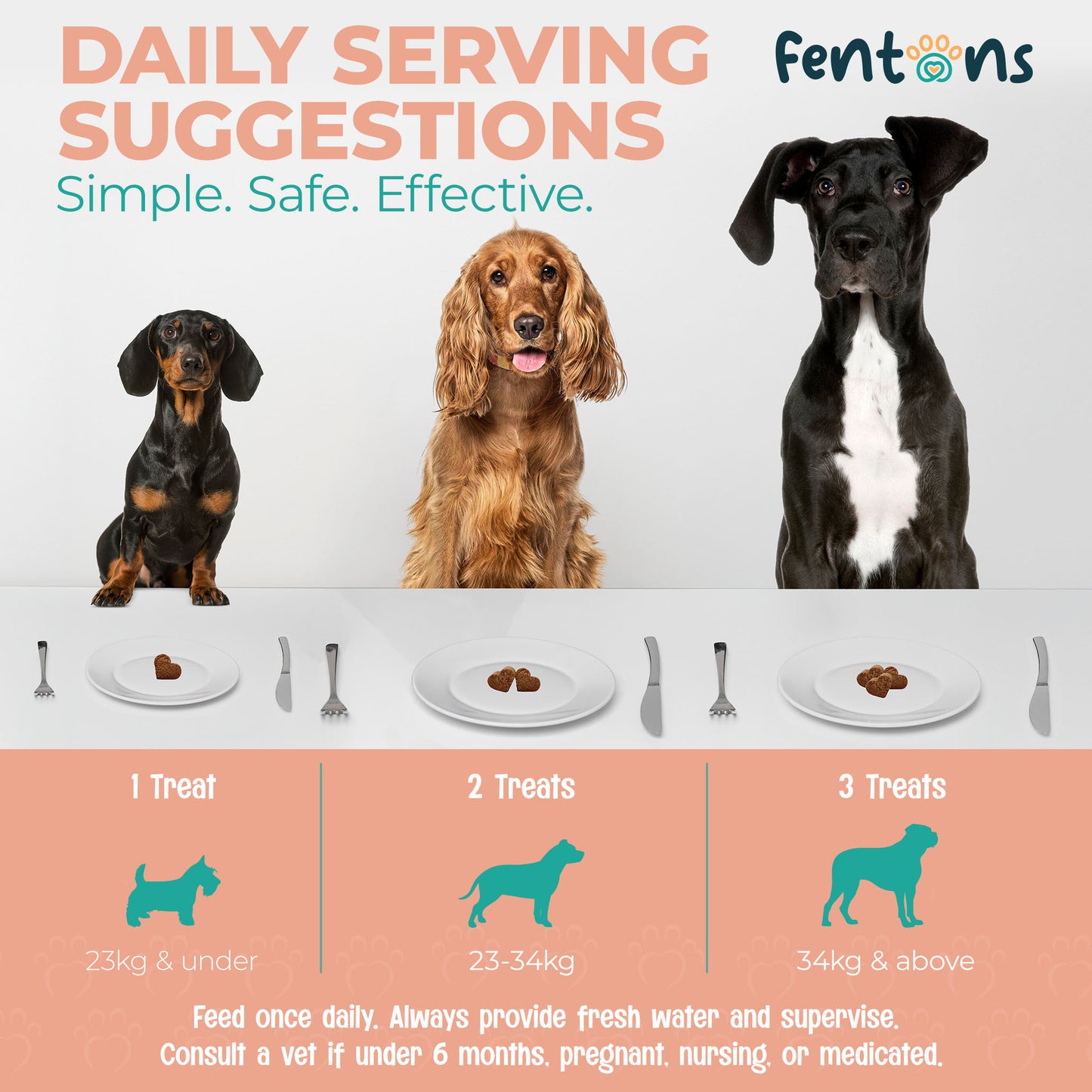 Dog Skin & Coat Health Treats - Supports Healthier Skin, Cleaner Coats & Dog Envy