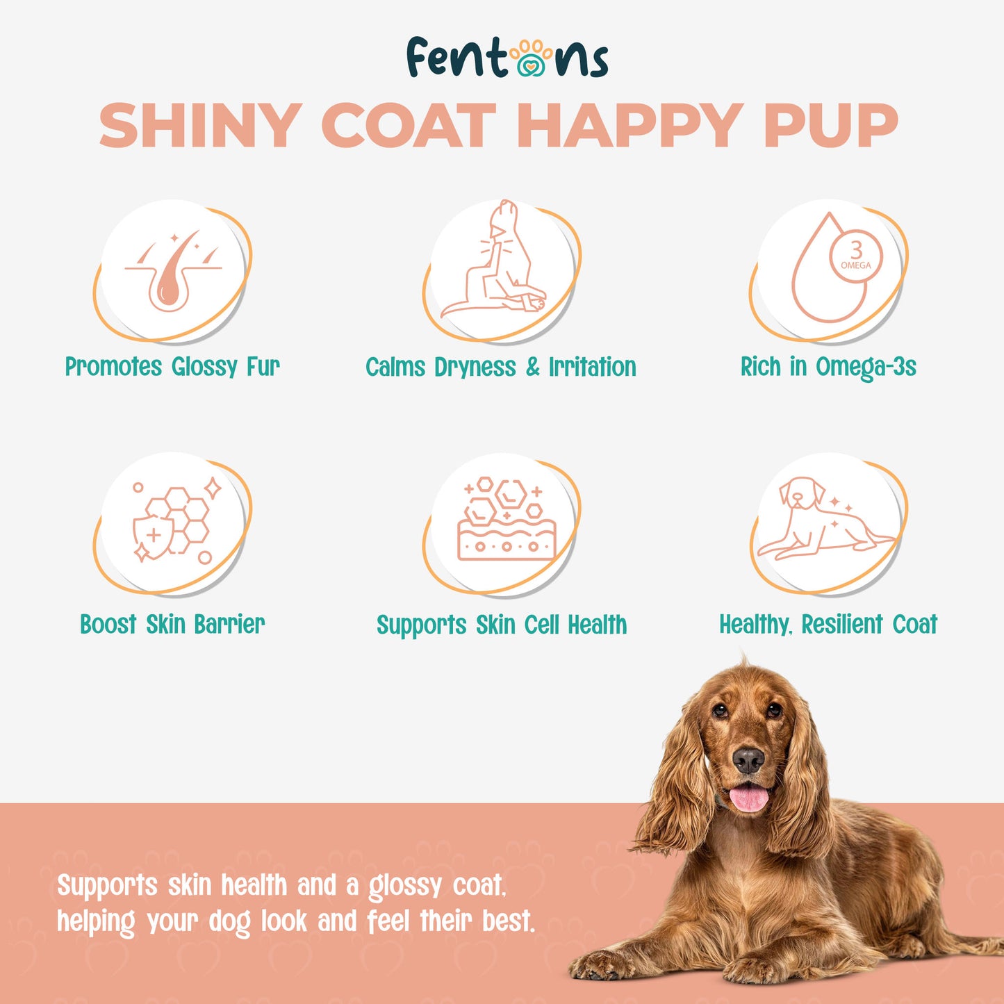 Dog Skin & Coat Health Treats - Supports Healthier Skin, Cleaner Coats & Dog Envy