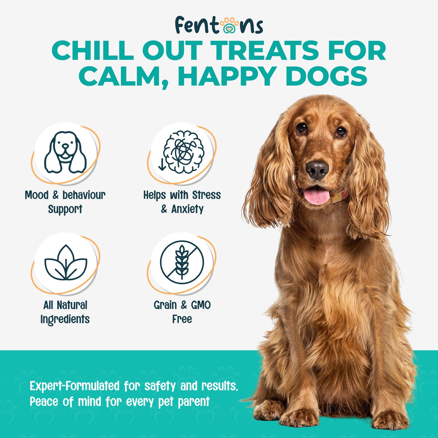 Dog Calming Treats - Supports Stress, Anxiety and Behavioural Issues
