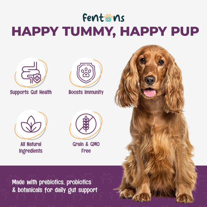 Dog Digestive & Gut Health Treats - Supports Immunity, Healthy Dogs & Stinky-Free Poops
