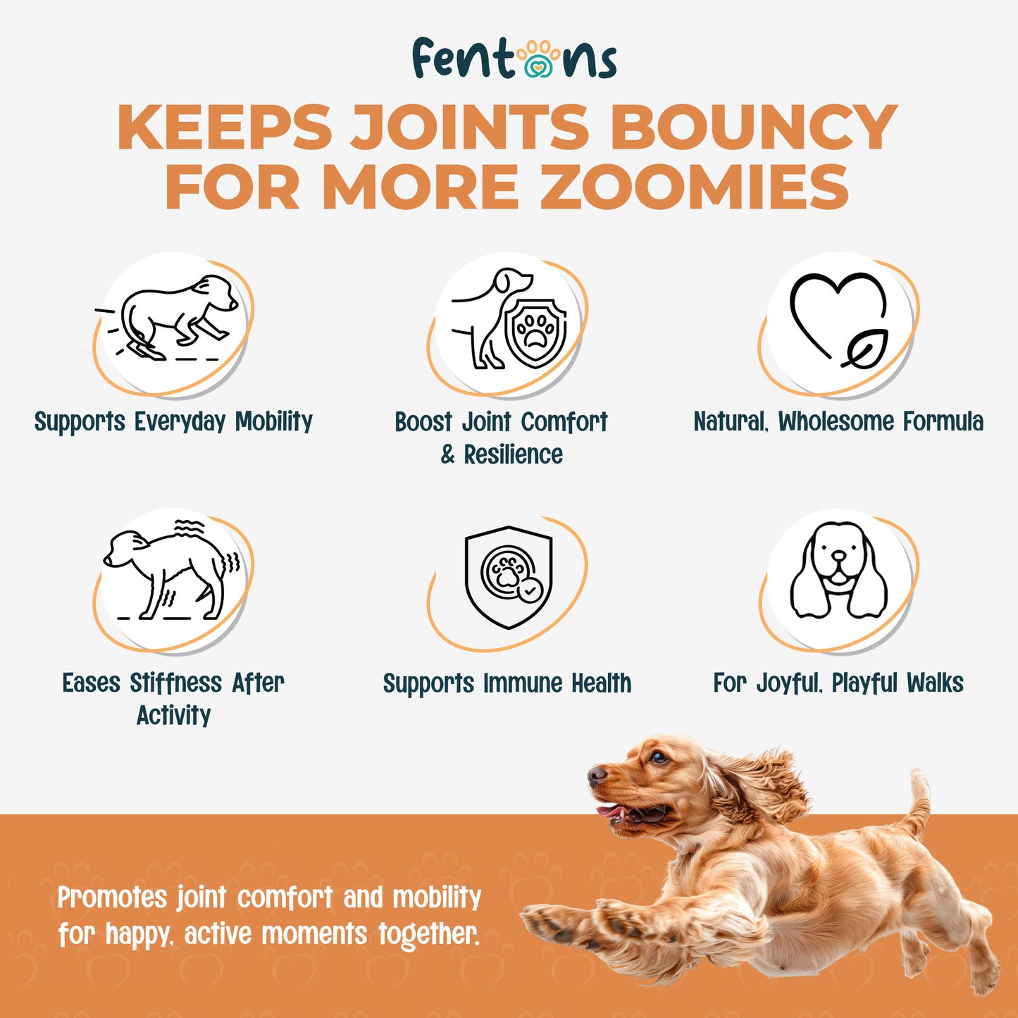 Dog Hip & Joint Treats - Supports Mobility, Immunity & Walks For Life