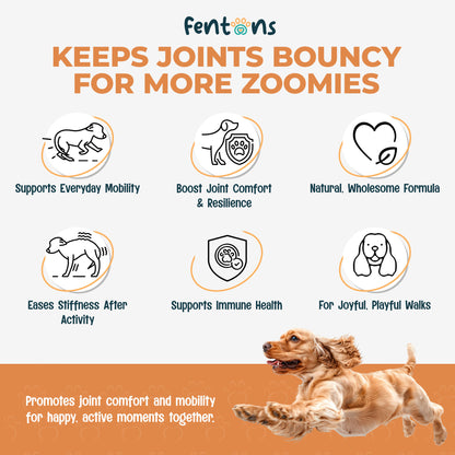Dog Hip & Joint Treats - Supports Mobility, Immunity & Walks For Life