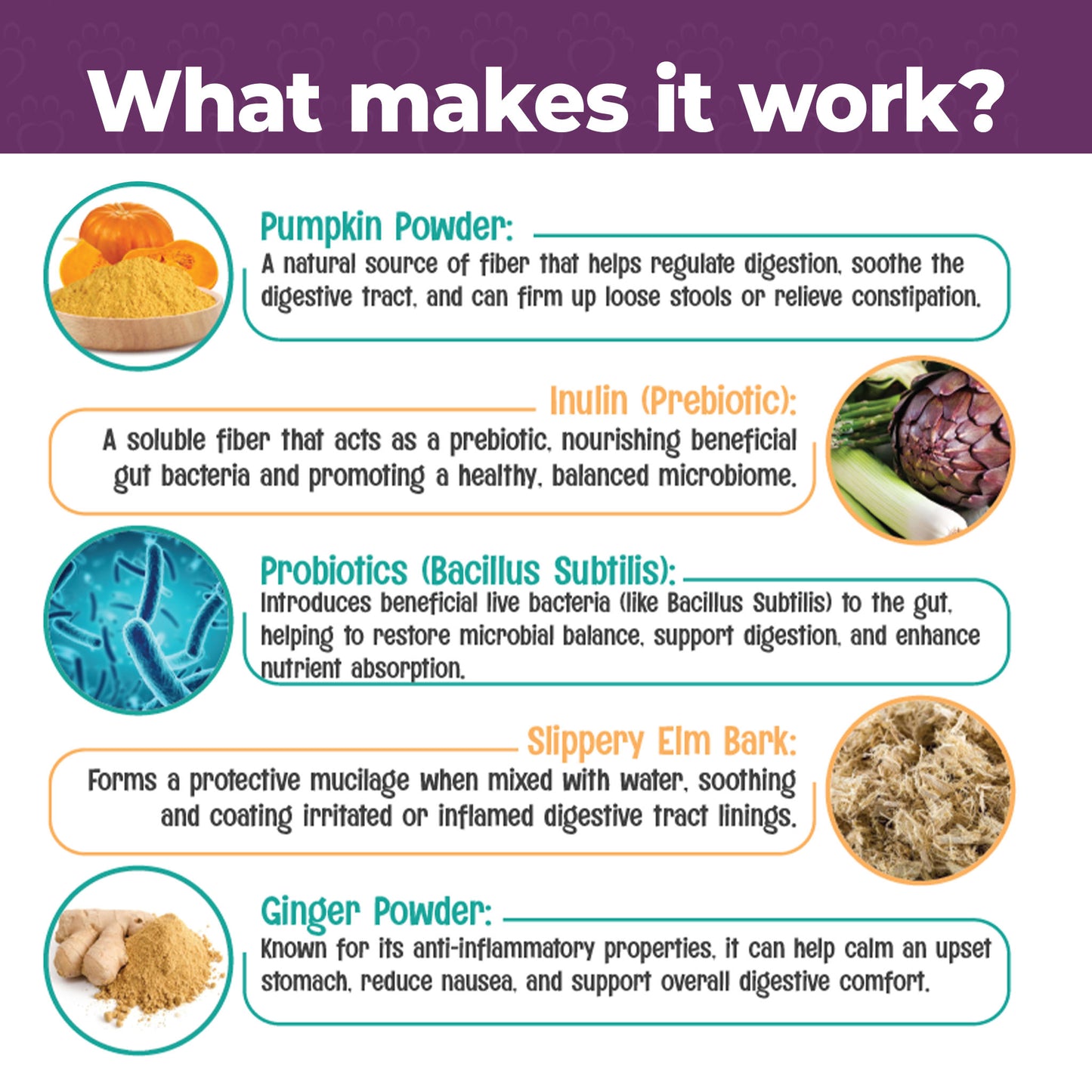 Dog Digestive & Gut Health Treats - Supports Immunity, Healthy Dogs & Stinky-Free Poops